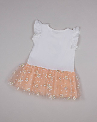 2024_04_04_0088789 2024_04_04_0088789