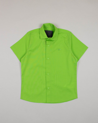 CEGISA 4444 Рубашка (кнопки) (цвет: Салатовый)