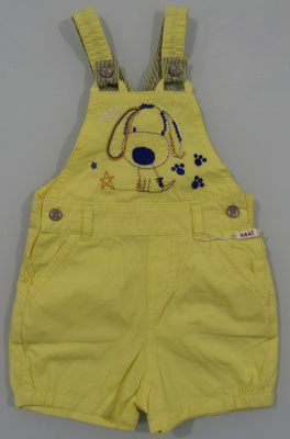 422795841_sani-shorty-na 422795841_sani-shorty-na