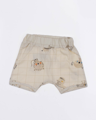 2024_03_18_0086960 2024_03_18_0086960