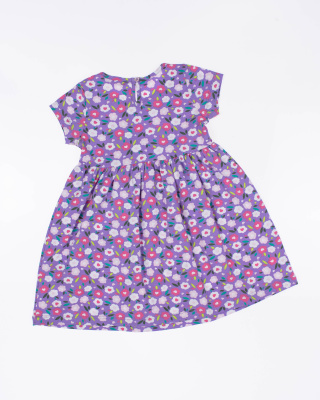 2024_03_27_0087950 2024_03_27_0087950